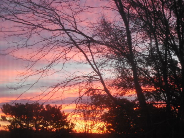 Beautiful skies